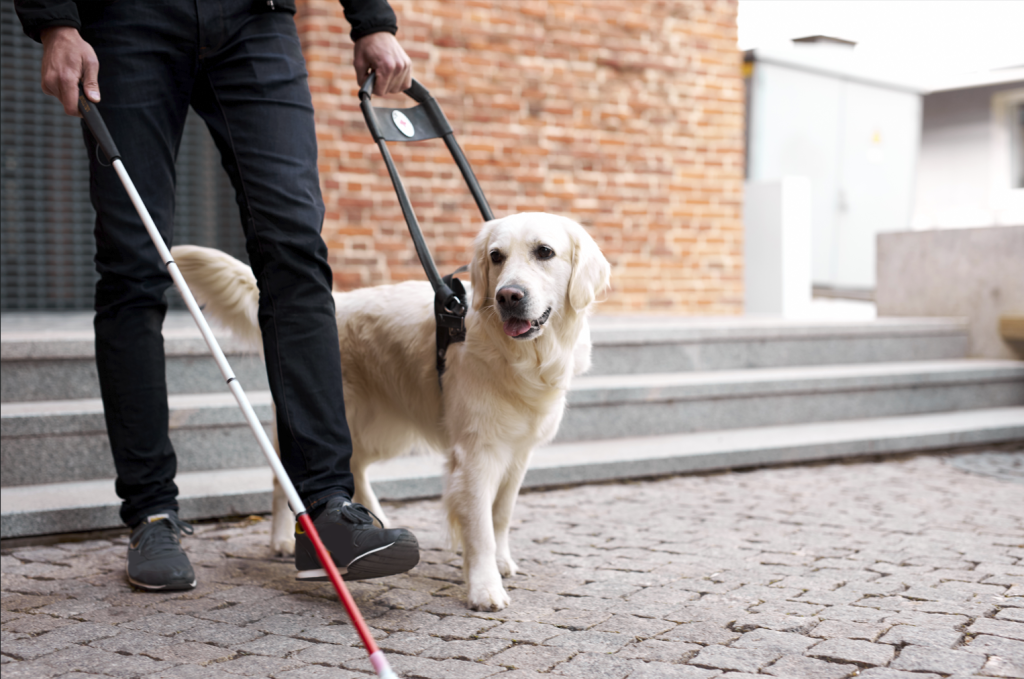 A visually impaired person with his guide dog.
